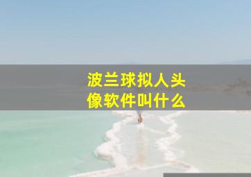 波兰球拟人头像软件叫什么