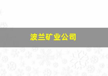 波兰矿业公司