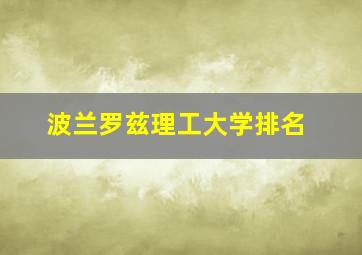 波兰罗兹理工大学排名