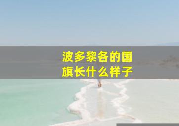 波多黎各的国旗长什么样子