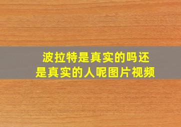 波拉特是真实的吗还是真实的人呢图片视频