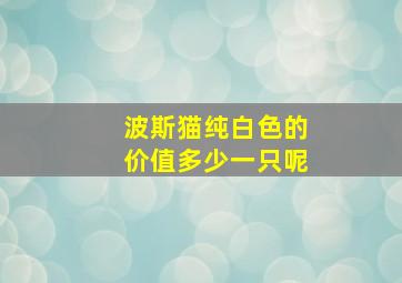 波斯猫纯白色的价值多少一只呢