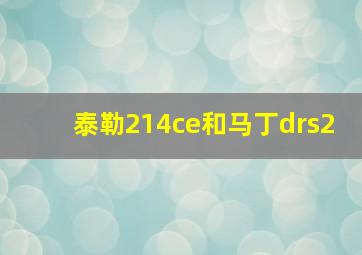 泰勒214ce和马丁drs2