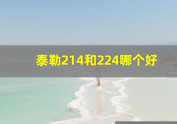 泰勒214和224哪个好