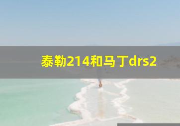 泰勒214和马丁drs2