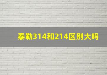 泰勒314和214区别大吗