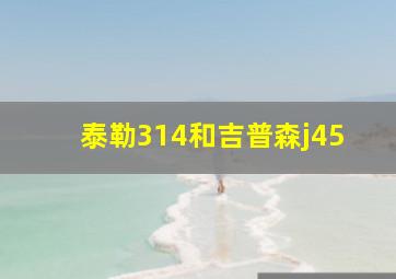 泰勒314和吉普森j45