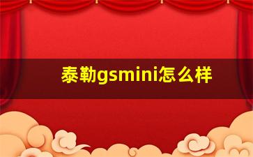 泰勒gsmini怎么样