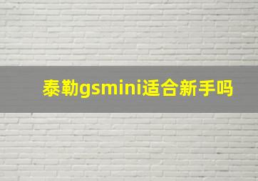 泰勒gsmini适合新手吗