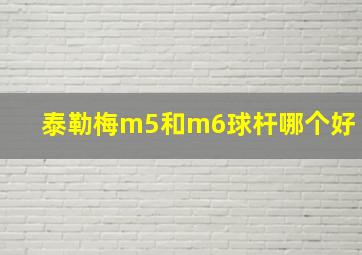 泰勒梅m5和m6球杆哪个好