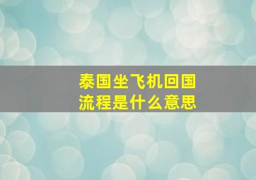 泰国坐飞机回国流程是什么意思