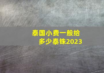 泰国小费一般给多少泰铢2023