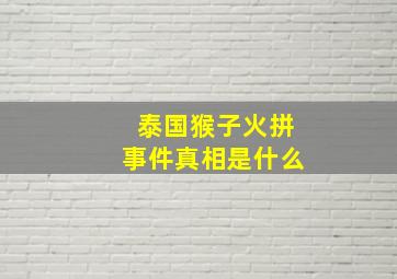 泰国猴子火拼事件真相是什么