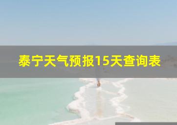 泰宁天气预报15天查询表