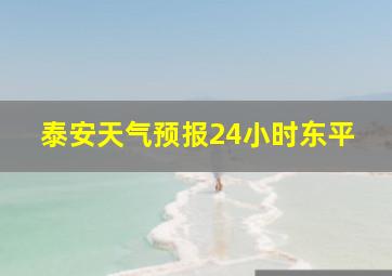 泰安天气预报24小时东平