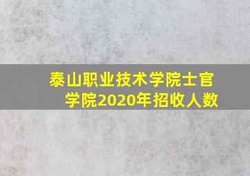 泰山职业技术学院士官学院2020年招收人数