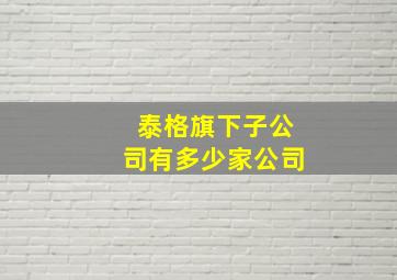 泰格旗下子公司有多少家公司