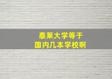 泰莱大学等于国内几本学校啊