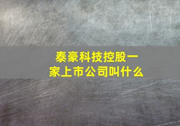 泰豪科技控股一家上市公司叫什么