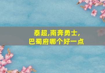 泰超,南奔勇士,巴蜀府哪个好一点