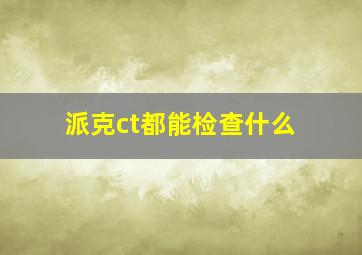 派克ct都能检查什么