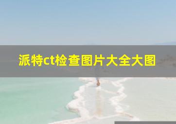 派特ct检查图片大全大图