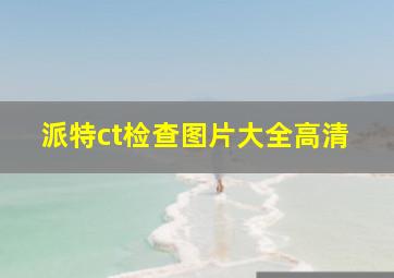 派特ct检查图片大全高清