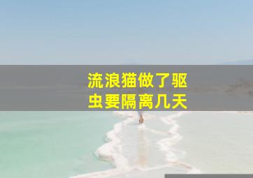 流浪猫做了驱虫要隔离几天