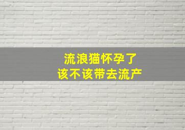 流浪猫怀孕了该不该带去流产