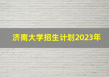 济南大学招生计划2023年