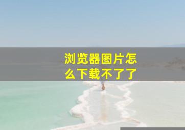 浏览器图片怎么下载不了了