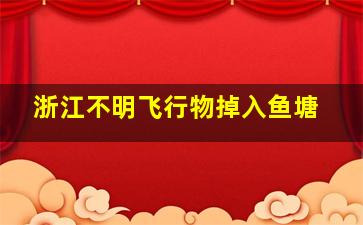 浙江不明飞行物掉入鱼塘