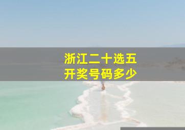 浙江二十选五开奖号码多少