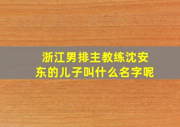 浙江男排主教练沈安东的儿子叫什么名字呢