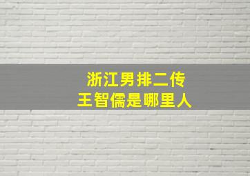 浙江男排二传王智儒是哪里人