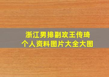 浙江男排副攻王传琦个人资料图片大全大图