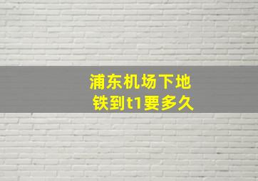 浦东机场下地铁到t1要多久