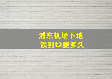 浦东机场下地铁到t2要多久