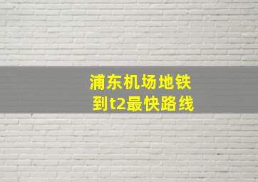 浦东机场地铁到t2最快路线