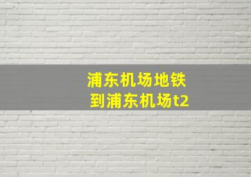 浦东机场地铁到浦东机场t2