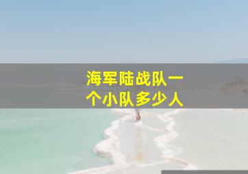 海军陆战队一个小队多少人