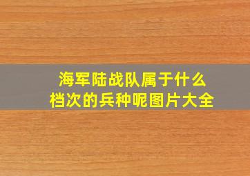 海军陆战队属于什么档次的兵种呢图片大全