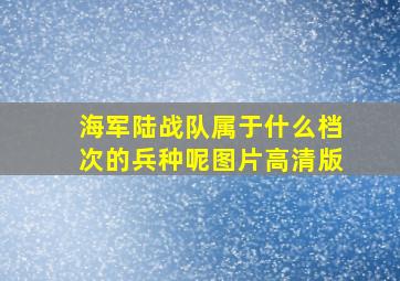 海军陆战队属于什么档次的兵种呢图片高清版