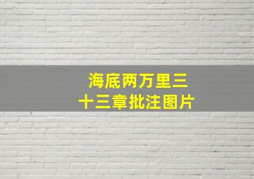 海底两万里三十三章批注图片