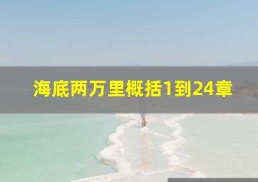 海底两万里概括1到24章