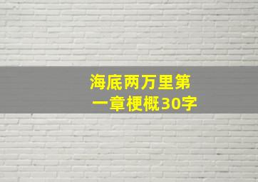 海底两万里第一章梗概30字