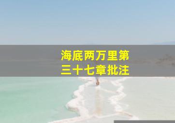 海底两万里第三十七章批注