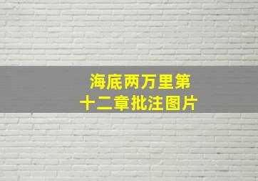 海底两万里第十二章批注图片