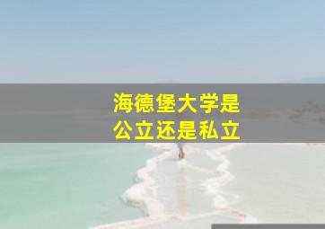 海德堡大学是公立还是私立