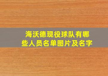 海沃德现役球队有哪些人员名单图片及名字